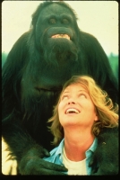 A Summer to Remember