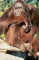 A Summer to Remember