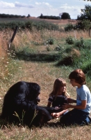 A Summer to Remember